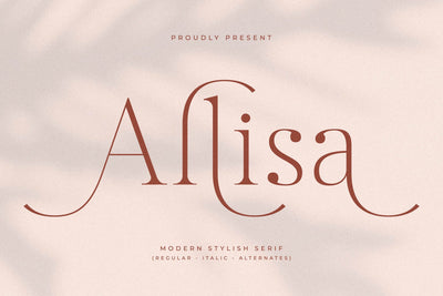 Allisa Typeface Font Storytype Studio 