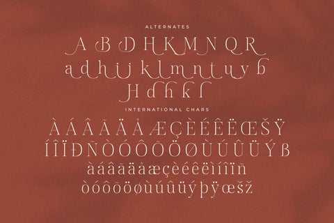 Allisa Typeface Font Storytype Studio 