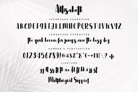 Allisabeth Font Letterara 