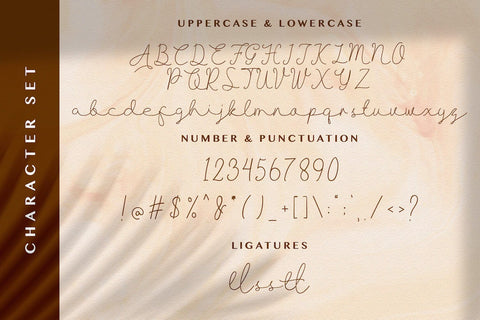 Allise - Signature Script Font Font StringLabs 