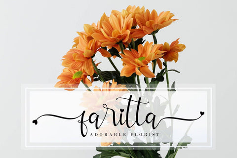 Allitta Font AEN Creative Store 