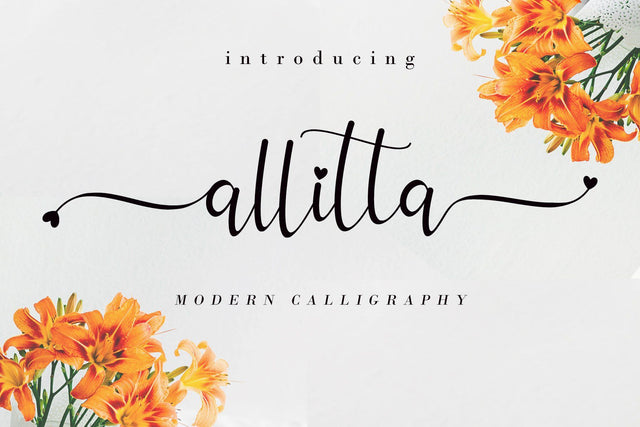 Allitta Font AEN Creative Store 