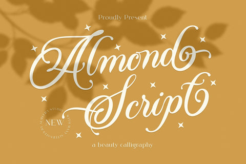 Almond Script Font studioalmeera 