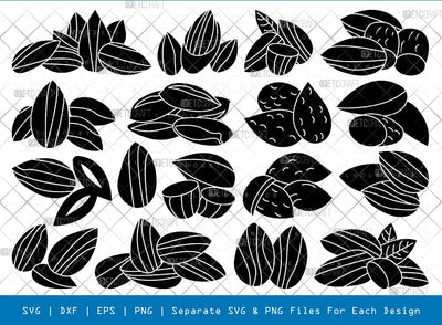 Almond Silhouette, Almond SVG, Food Items Svg, Nuts Svg, Wood Nuts Svg, Almond Bundle, SB00898 SVG ETC Craft 