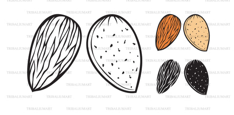 Almond SVG TribaliumArtSF 