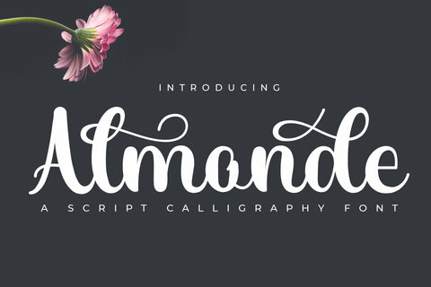 Almonde Font love script 