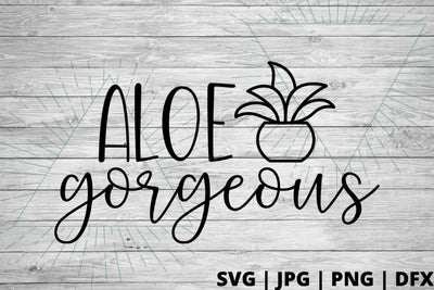 Aloe Gorgeous SVG Good Morning Chaos 