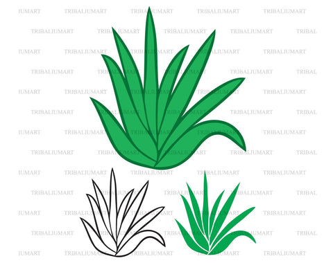 Aloe plant SVG TribaliumArtSF 