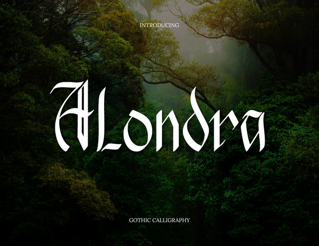 Alondra Handwritten Font Font inferno.studio3 