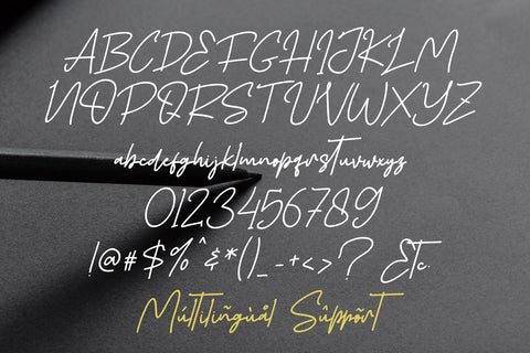 Alvero Signature Font Afandi Studio 