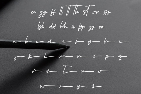 Alvero Signature Font Afandi Studio 