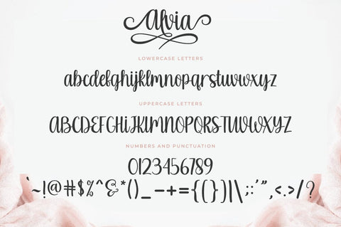 Alvia Font Zane Studio55 