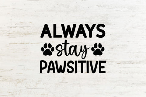 Always stay pawsitive SVG SVG Regulrcrative 