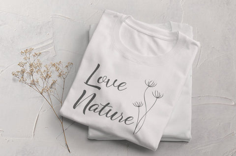 alyaneta script Font Anastasia 