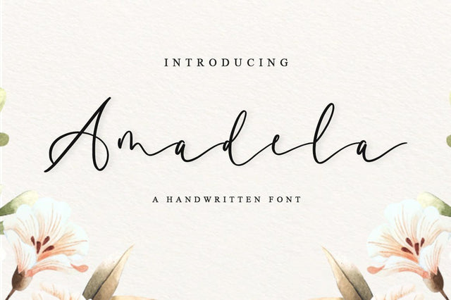 Amadela Font Anastasia 