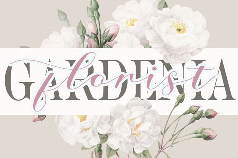 Amanda script Font Slex Creative 