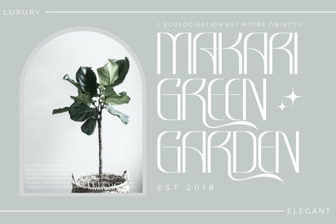 Amarta Typeface Font Storytype Studio 