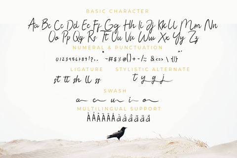 Amasya Font Font LetterdayStudio 