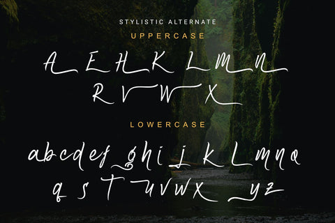 Amazoone - Handbrush Font Dumadistyle 