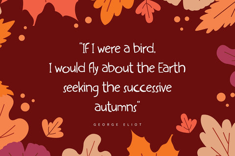 Amberly - Display Font Font Alpaprana Studio 