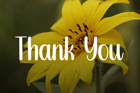 Ambience SVG Abo Daniel Studio 