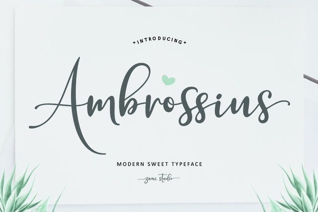 Ambrossius Script Font Zane Studio55 