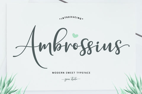 Ambrossius Script Font Zane Studio55 
