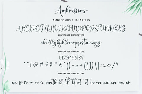 Ambrossius Script Font Zane Studio55 
