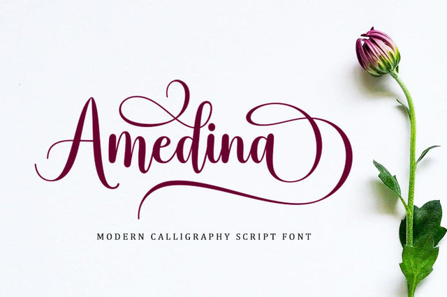 Amedina Script Font Font BungStudio 