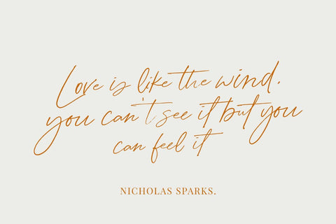 Amelia Bloomer | Elegant Script Font Font Jimtype Studio 