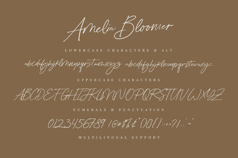 Amelia Bloomer | Elegant Script Font Font Jimtype Studio 