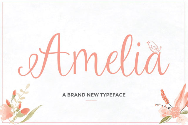 Amelia Script Font Maroon Baboon 