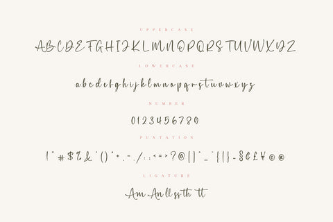 Amellia // Elegant Script Font Font Typobia 