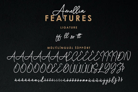 Amellia Handwritten Script Font Balevgraph Studio 
