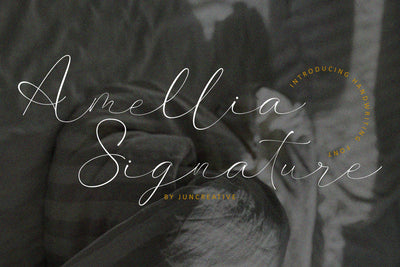Amellia Signature Font Jun Creative 