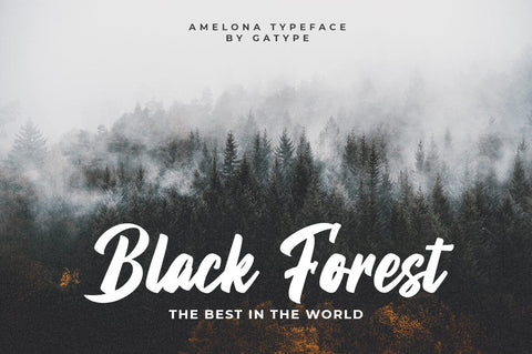 Amelona Font gatype 