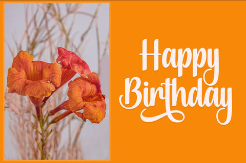 Amelyan Font azkiyaazka026 