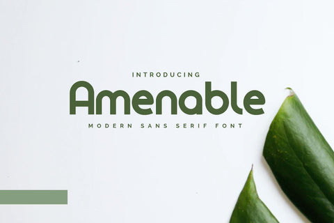 Amenable Font twinletter 