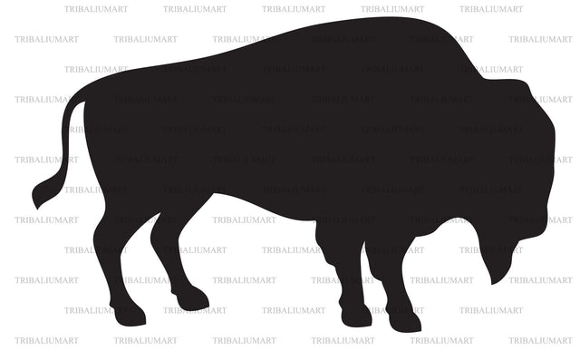 American bison SVG TribaliumArtSF 