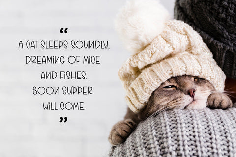 American Cottage Font Font BB Digital Arts 