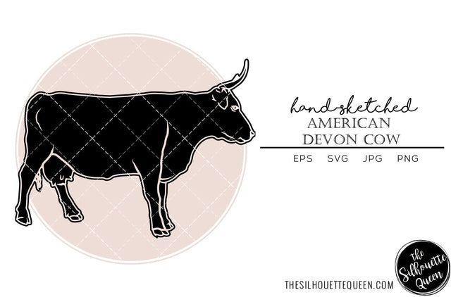 American Devon Cow Sketch Vector SVG Loveleen Kaur 