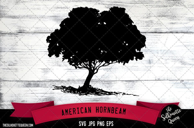 American Hornbeam SVG -Vector Art Commercial & Personal Use- Cricut,Silhouette,Cameo,Vinyl Cut SVG Loveleen Kaur 