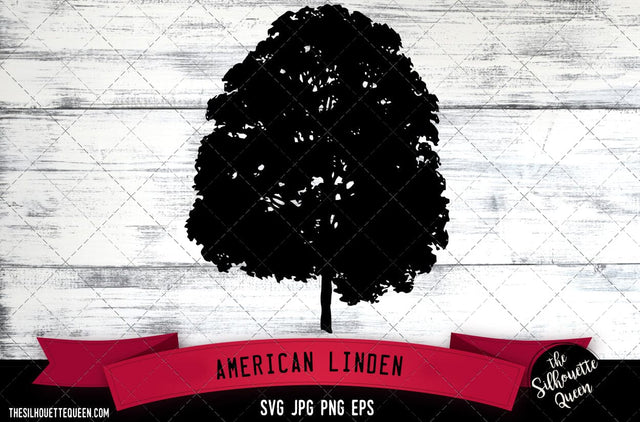 American Linden SVG -Vector Art Commercial & Personal Use- Cricut,Silhouette,Cameo,Vinyl Cut SVG Loveleen Kaur 