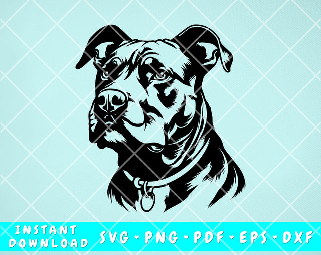 American Pit Bull SVG, American Pit Bull Clipart, American Pit Bull Cut File For Cricut, Silhouette SVG HappyDesignStudio 