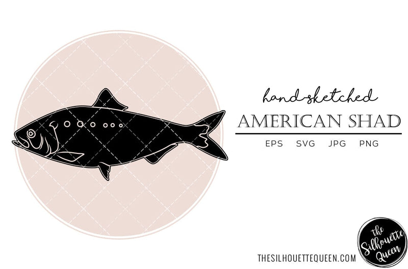 American Shad Hand sketched, hand drawn vector clipart - So Fontsy