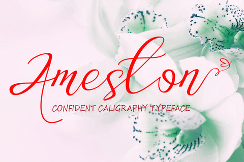 Ameston Font gatype 