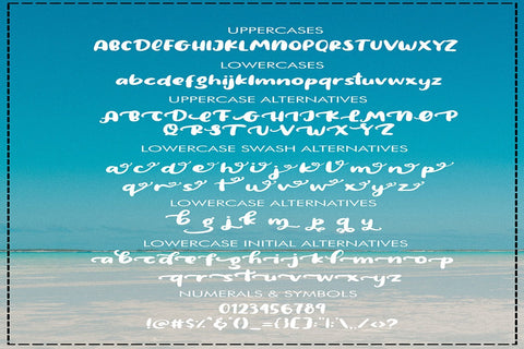 Amigos - Summer Font Font Dm Letter Studio 