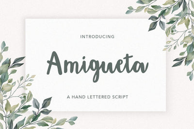 Amigueta Script Font Solidtype 
