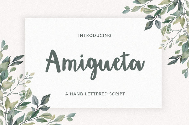 Amigueta Script Font Solidtype 