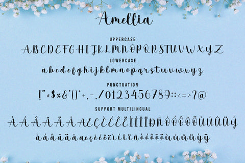 Amilla Script Font Jun Creative 